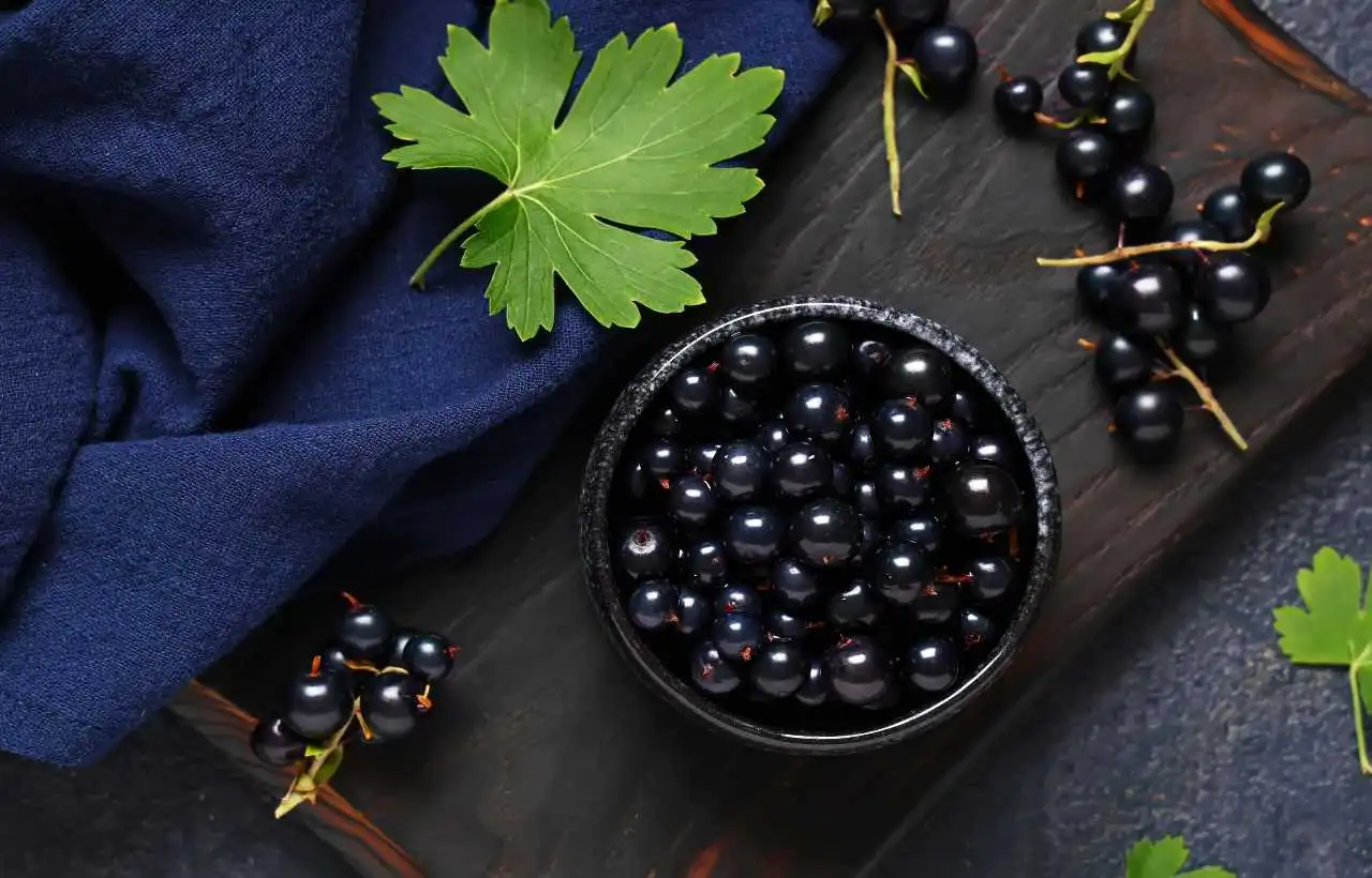 Sono tante le ricette da fare con il ribes nero