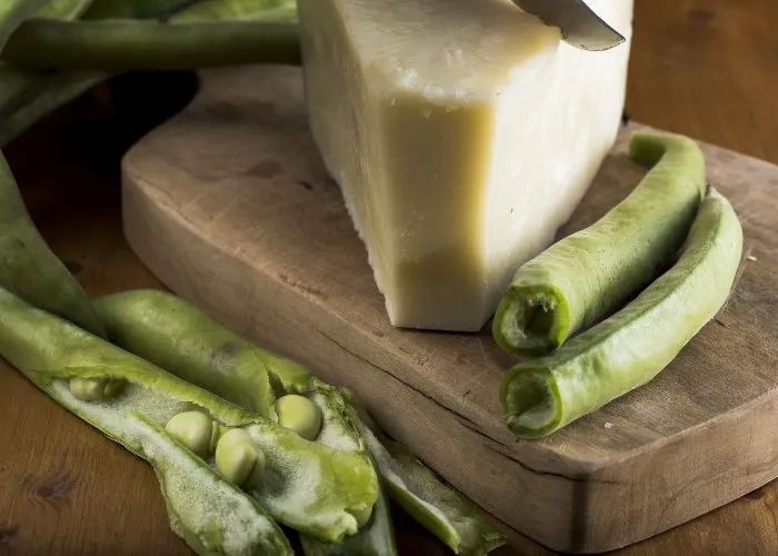 Sagre Lazio maggio 2026 - Fave e pecorino