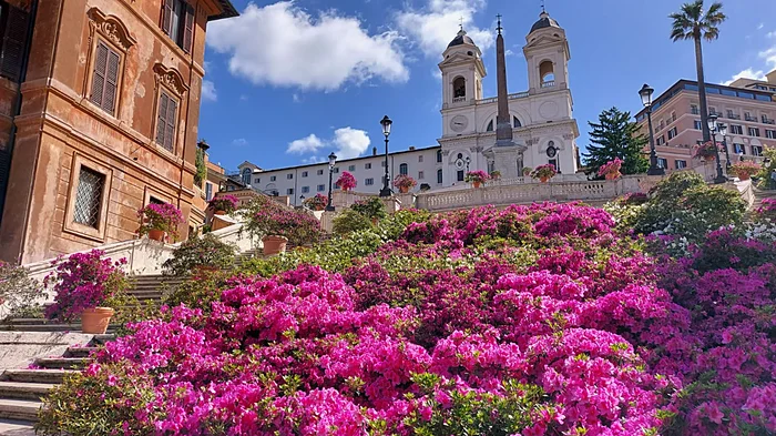 azalee a Piazza di Spagna