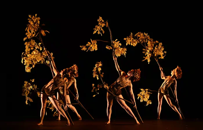 I MOMIX tornano con Botanica