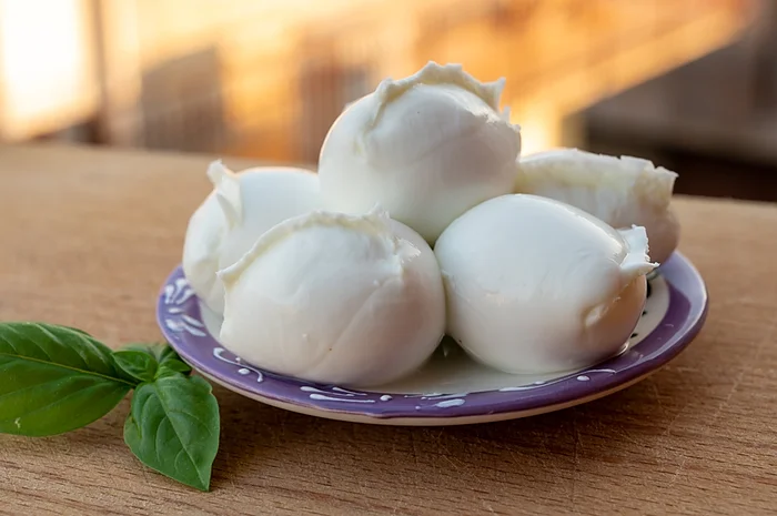 mozzarella di bufala