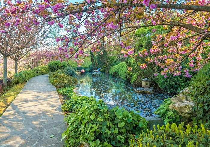 Orto Botanico a Roma