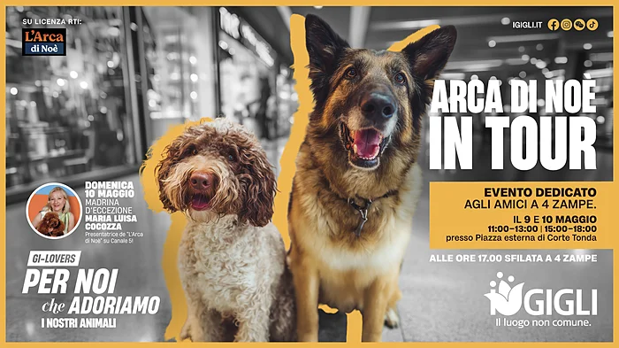Tra gli eventi del 9 e 10 maggio 2026 a Firenze, I Gigli accolgono Arca di Noè in Tour