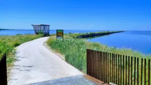 L'Argine degli Angeli, la ciclovia che sembra sospesa tra cielo e terra