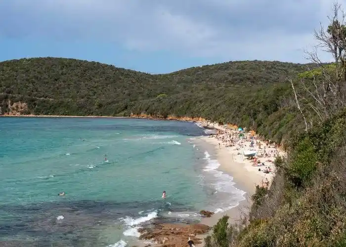 Spiaggia di Cala Violina in Maremma