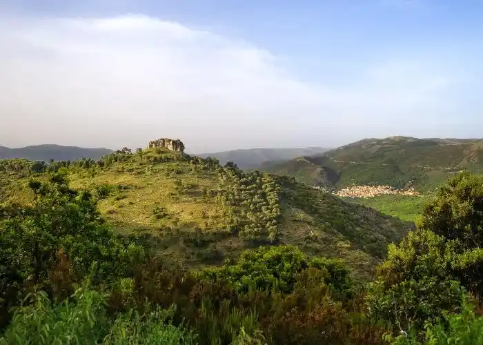 Texile di Aritzo