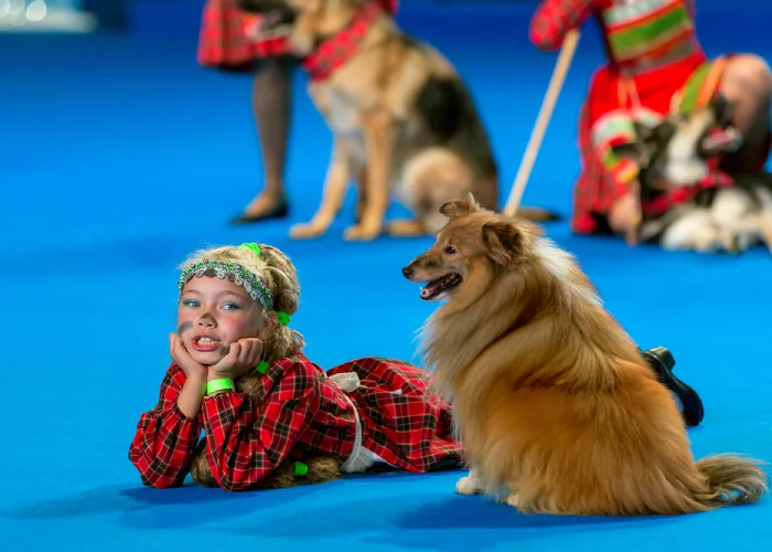 Un'esibizione durante il World Dog Show 2016 di Mosca