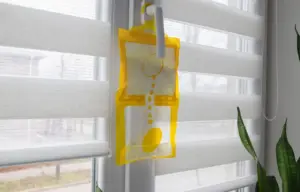 Come eliminare l’umidità in casa in estate in modo naturale