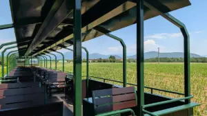 Un treno aperto sul paesaggio: la Ferrovia del Sebino torna a incantare con le nuove carrozze panoramiche