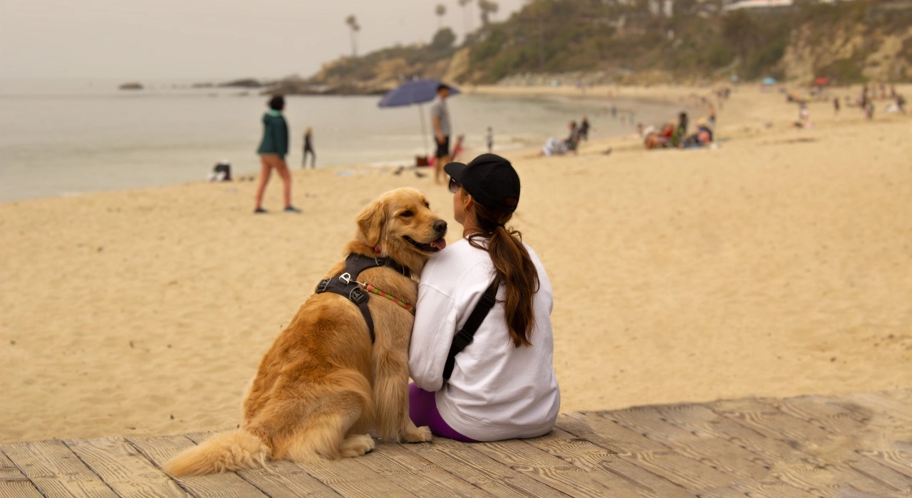 Spiagge pet friendly Italia