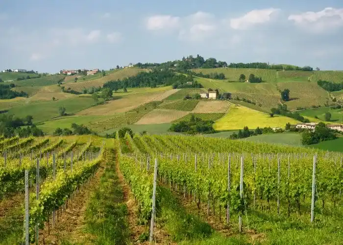 Val Tidone in provincia di Piacenza dove passa il Sentiero dei Celti e dei Liguri