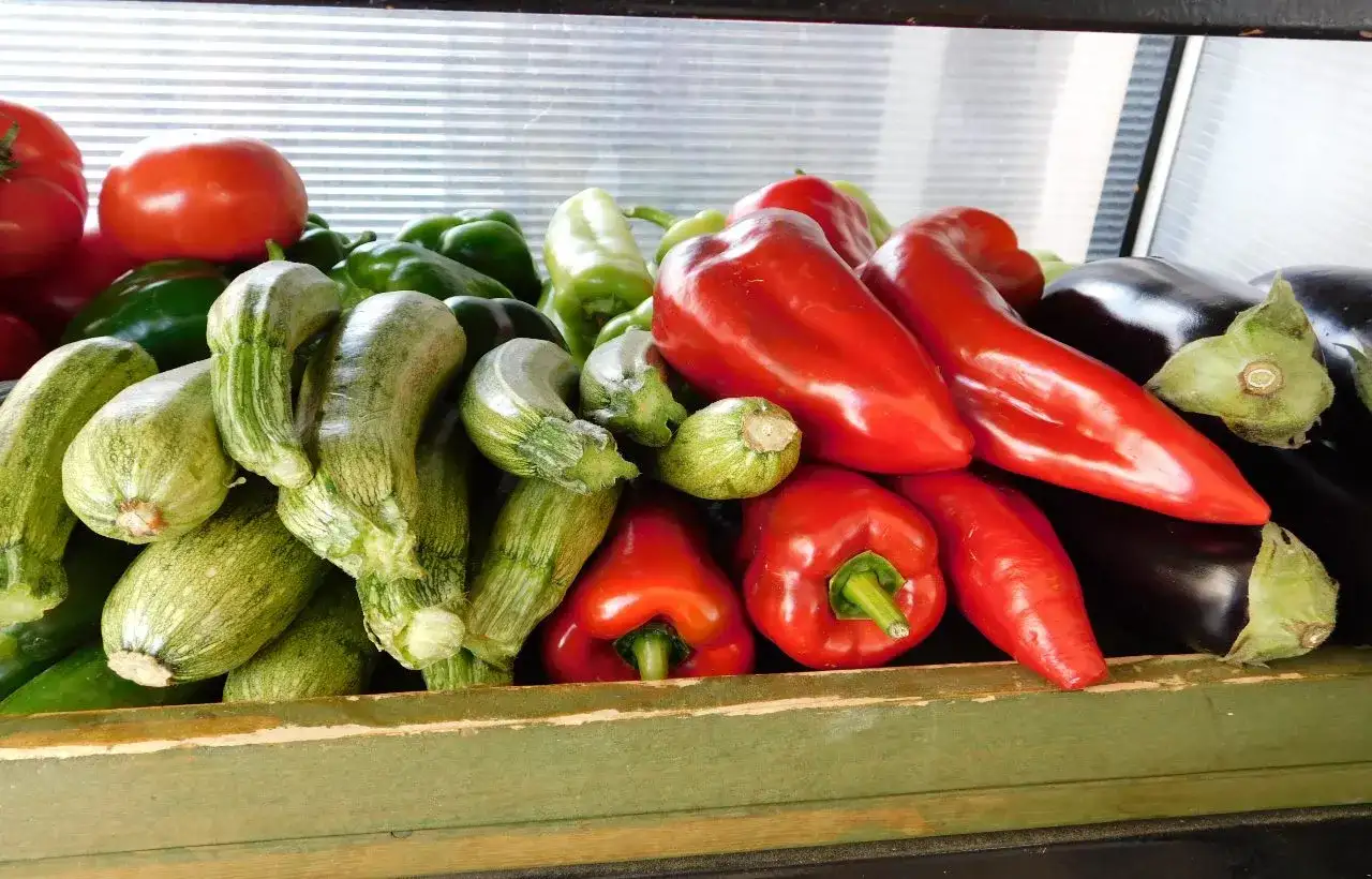 peperoni zucchine pomodori melanzane sono le verdure di luglio