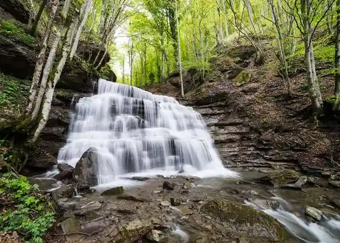 Coolcation alle Foreste Casentinesi