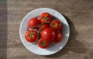 Ricette con i pomodori maturi: 5 piatti semplici e veloci