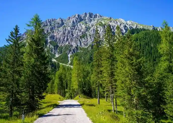 La montagna vista da Sauris in Friuli