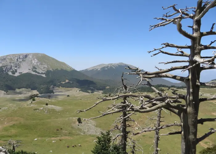 Monte Pollino - Basilicata a piedi