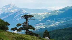 La Basilicata a piedi, 5 percorsi per scoprirla