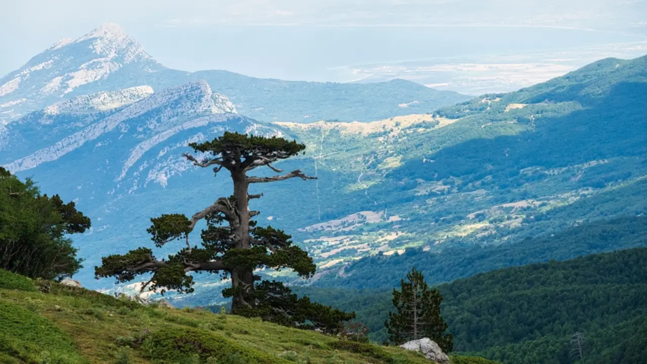 Parco Nazionale del Pollino - Basilicata a piedi