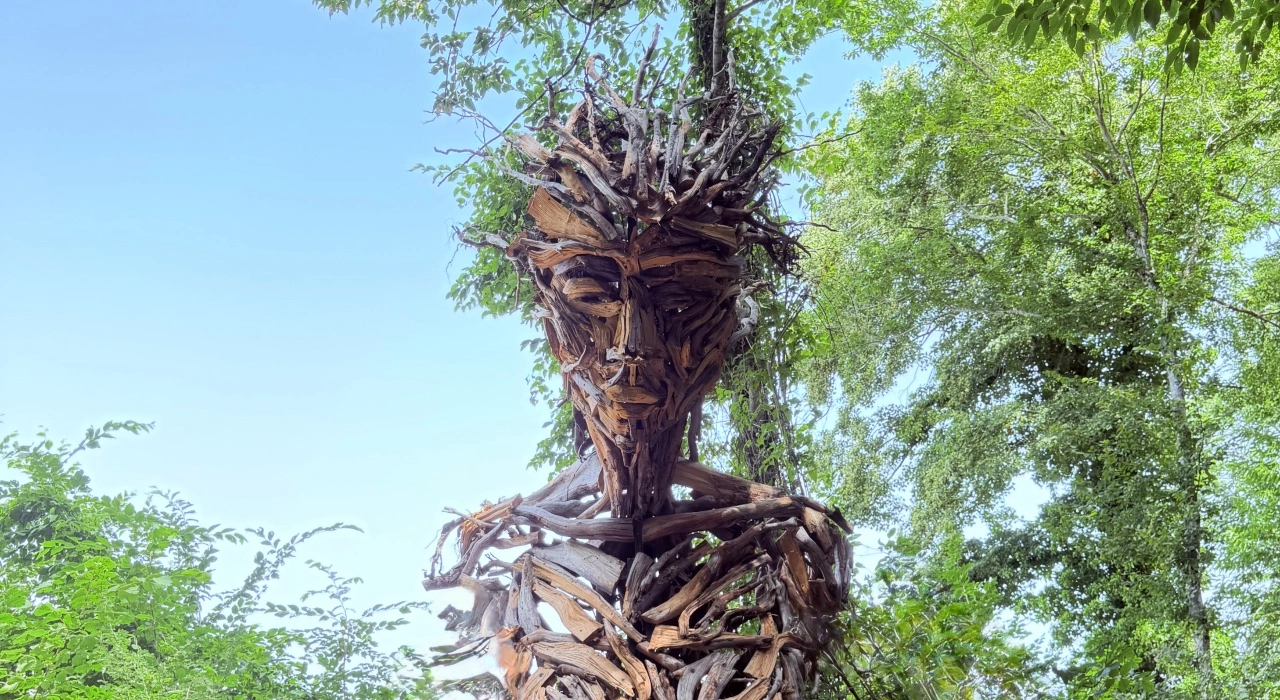 Museo diffuso del bosco