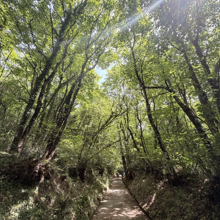 Rocca di Papa trekking