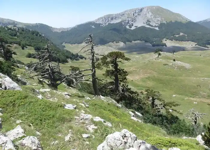 Verso i Piani del Pollino