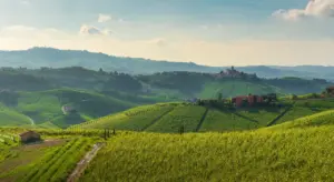 Sagre Piemonte agosto 2026: gli eventi imperdibili