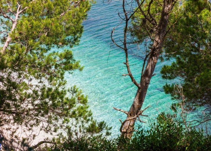 Isola d'Elba