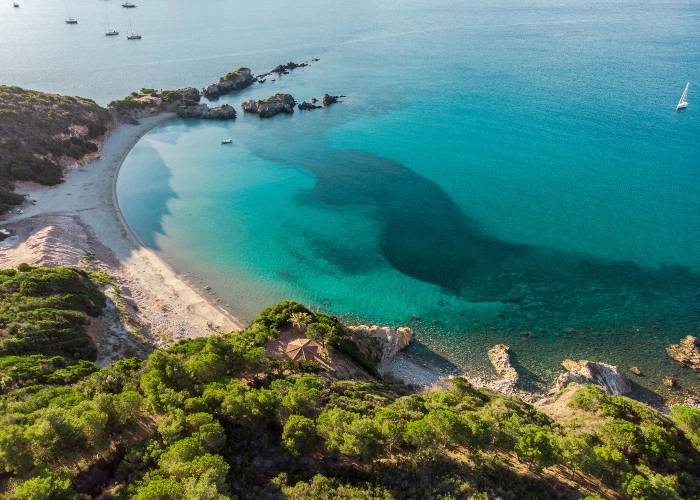 Laconella