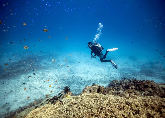 migliori immersioni in Italia