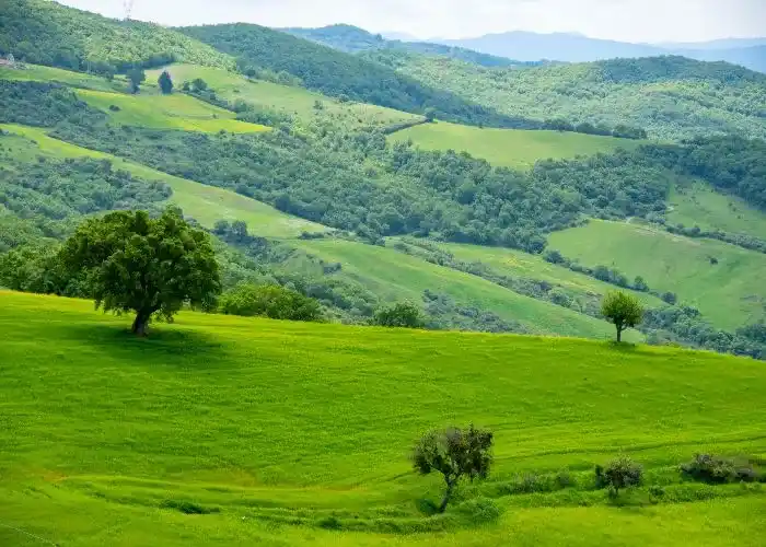 Il Parco Regionale di Gallipoli Cognato