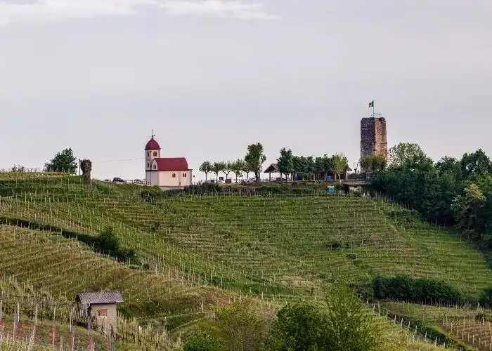 Vigneto a Gattinara