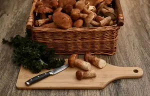 5 ricette con i funghi porcini freschi facili e veloci da preparare