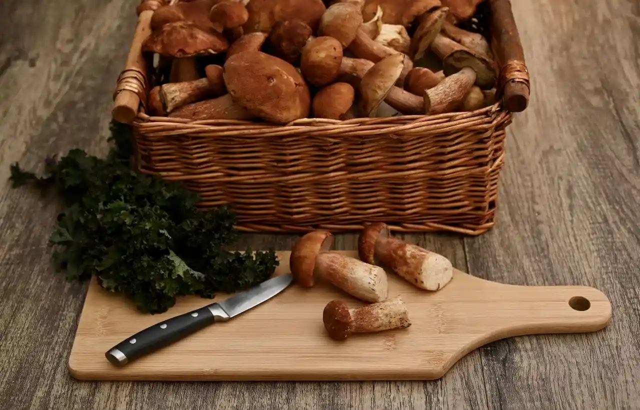 ricette con i funghi porcini freschi
