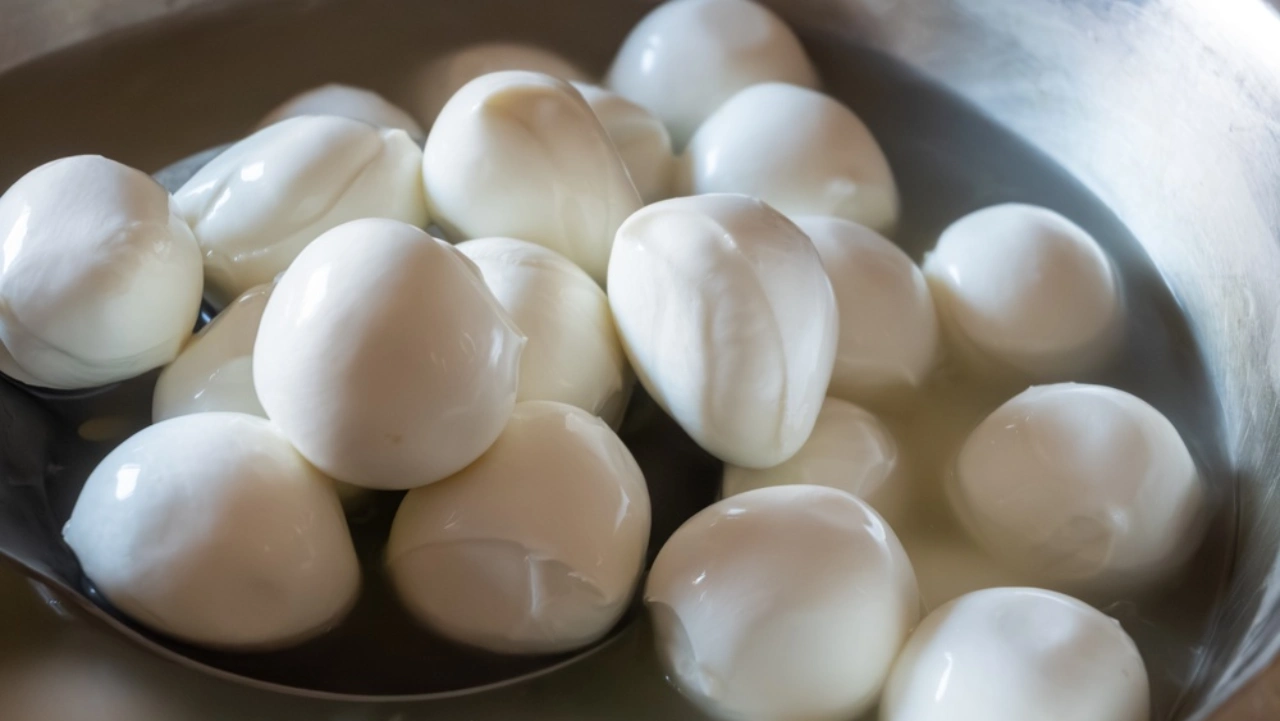 Mozzarelle di bufala - sagre in campania a settembre 2026