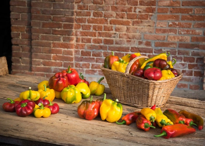 peperoni di Carmagnola