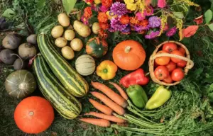 Verdura di stagione a settembre da comprare al mercato
