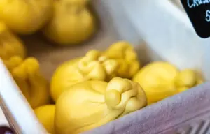 5 formaggi della Basilicata da assaggiare assolutamente