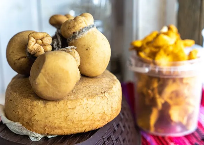 Il caciocavallo in varie forme