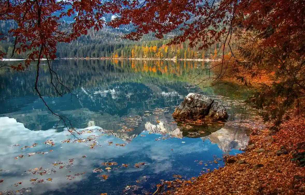 foliage in Trentino-Alto Adige
