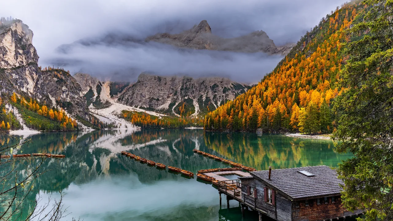 Foliage settembre Italia, larici ingialliti riflessi nel lago di Braies in Alta Pusteria