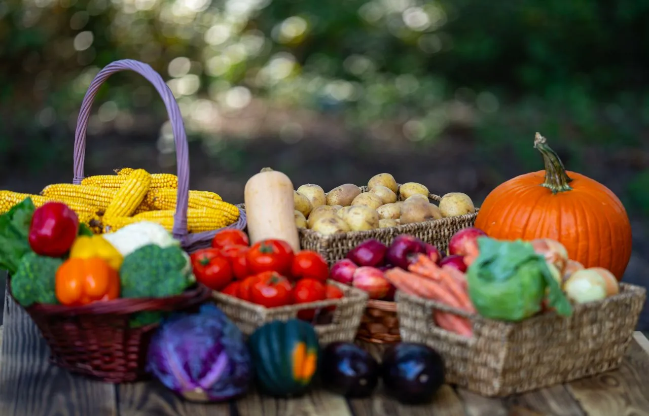 ricette autunnali economiche