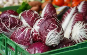 5 ricette con il radicchio veloci per l’autunno e l’inverno