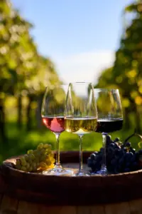 Bicchiere di Asti Rosé Docg, la nuova denominazione 2026