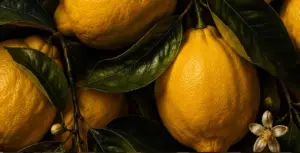 Food, il gusto nell'arte: la mostra al Chiostro del Bramante