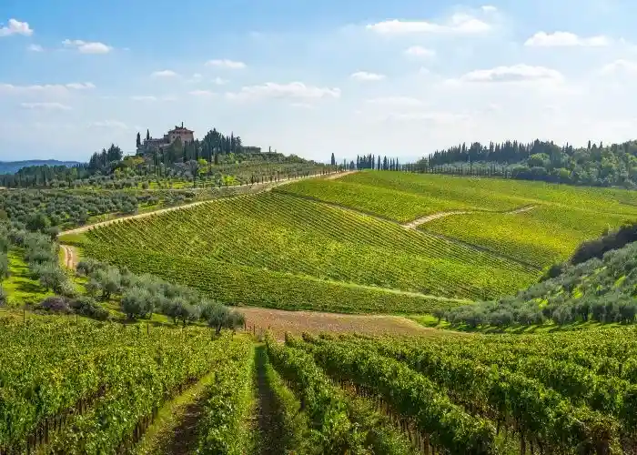 Radda in Chianti