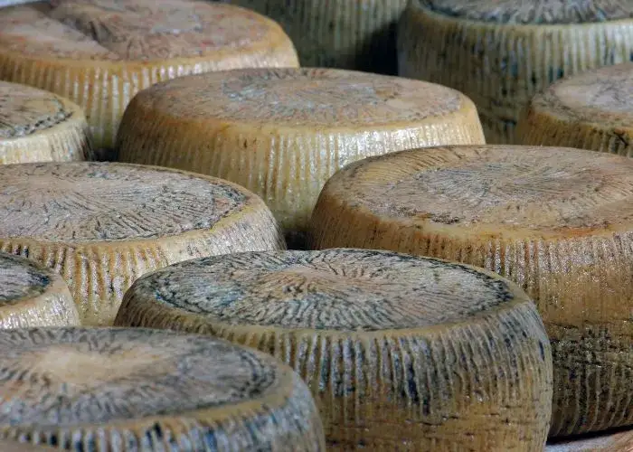 Pecorino di Filiano