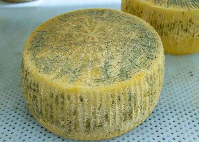 Canestrato di Moliterno