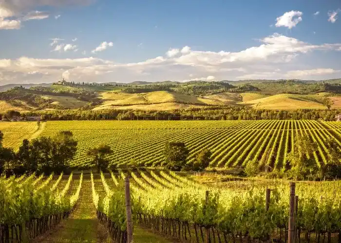 Il paesaggio attorno a Cinigiano in Toscana