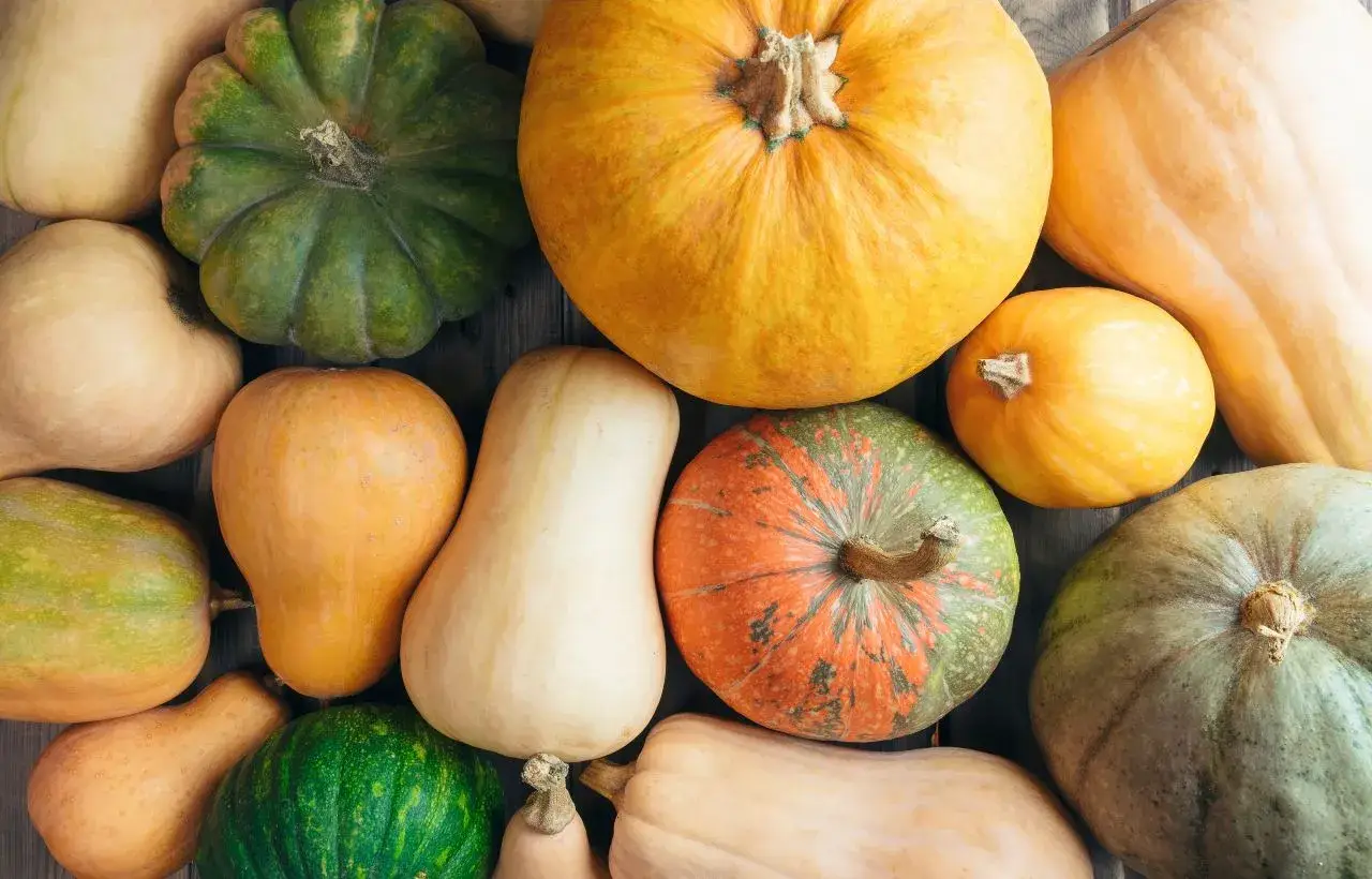 Ricetta con la zucca