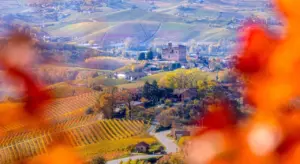 Sagre Piemonte ottobre 2026: gli appuntamenti da non perdere